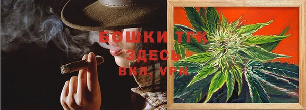 молекула духа Дмитровск